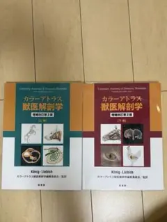 カラーアトラス獣医解剖学 上巻　下巻 カラーアトラス獣医解剖学 増補改訂第2版 【上巻/下巻セット