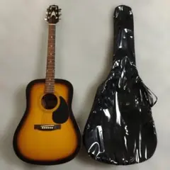 takamine(タカミネ) T-1BS ケース付き　アコースティックギター 2025年最新】takamine t 1bsの人気アイテム - メルカリ