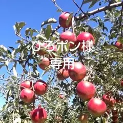 ひろポン様専用　紅玉