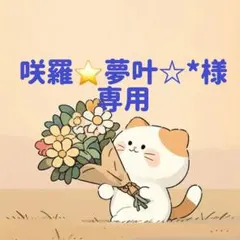 咲羅⭐夢叶☆*様　専用(12/20迄)