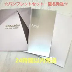☆匿名配送☆Snow Man パンフレット2D.2D. Mania LABO