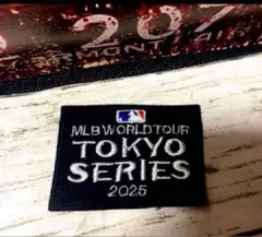 【新品❣️】MLB Worldtour 2025 アイロン　接着　シートワッペン
