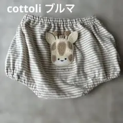 cottoli ブルマ きりん