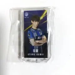 モンテディオ山形　ロッカーパネル　川井歩選手