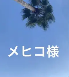 メヒコ^_^ 様　修理　送料