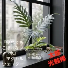 光触媒 観葉植物 ウォールグリーン フェイクグリーン グレイシア 