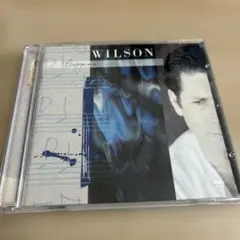 2025年最新】Brian wilsonの人気アイテム - メルカリ