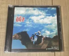 BOA THE RACE OF A THOUSAND CAMELS rein