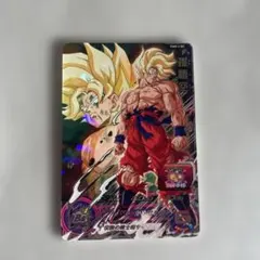 PUMS13-SEC 孫悟空