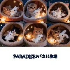 PARADISEパネル生地　 猫柄　うさぎ柄