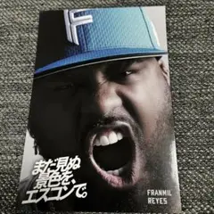 レイエス 応援グッズ