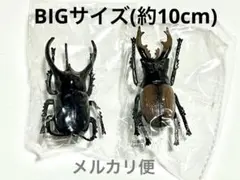 コーカサスオオカブト ミヤマクワガタ プルバックカー フィギュア 2体セット