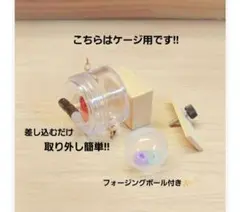 Item thumbnail for item 7b4729a3-d6b3-4708-8475-9b95a363ef2d