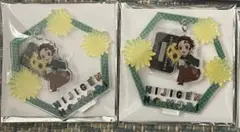 鬼滅の刃 竈門 炭治郎 ニジゲンノモリ ゆらゆらアクリルスタンド アクスタ 2点