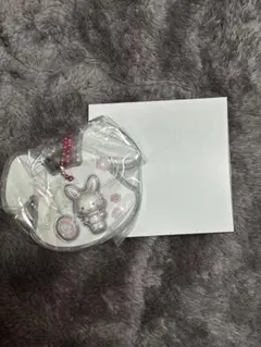 サンリオ　パッケージチャーム&チョコボーロ　ウイッシュミーメル