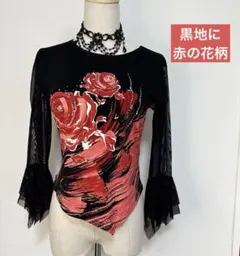社交ダンス レッスンウェア 黒地に赤の薔薇の花柄、ビジュー付き
