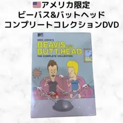 BUTTHEAD SUNGLASS「CD-R + DVD-R 4枚セット」 BUTTHEAD SUNGLASS「CD-R + DVD-R 4枚セット」