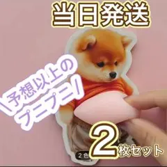 [新品　即納] 柴犬　お腹　おなか　プニプニ　スティッカー　シール 2個セット