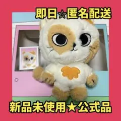 BOYNEXTDOOR CATBBI ぬいぐるみ キーリング - メルカリ