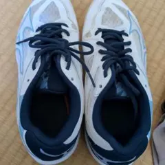 Item thumbnail for item 1094a1ba-e3f3-4876-93de-f24907d36e74