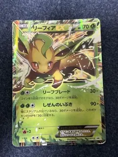 2025年最新】リーフィアEX 192/XY-Pの人気アイテム - メルカリ