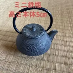 2026年最新】南部 鉄瓶 ミニの人気アイテム - メルカリ