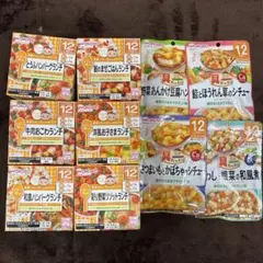 ベビーフード12ヶ月 【10種類セット】　和光堂