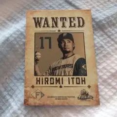 北海道日本ハムファイターズ WANTEDクリームサンド封入トレカ【伊藤大海】