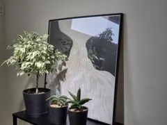 MODERN PEOPLES　COLORS初回限定付録ポスター　HalfMoon