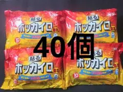 興和 貼るホッカイロ ミニ 10個入り 4セット
