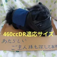 黒毛 ウマ 馬 JRA ぬいぐるみ 460cc DR適応サイズ
