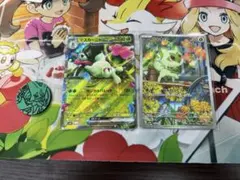 ポケモンカード マスカーニャex ニャオハ 2枚セット　コイン付き