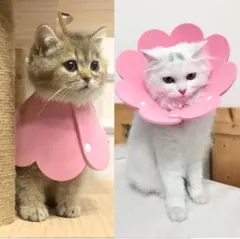 Item thumbnail for item 6dd4141a-456c-481f-9f76-a4ea068e9932