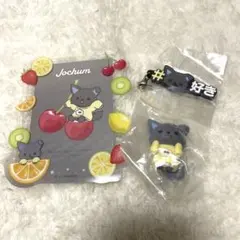 JOCHUM ピーハイ 金城碧海 硬質ケース マスコット ラバーキーホルダー