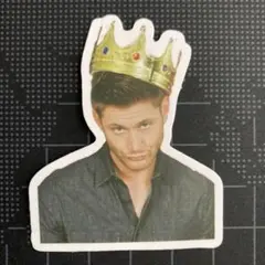 1090. superナチュラル US 防水ステッカー