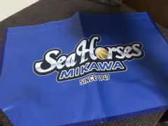 シーホース三河 プライマリーロゴ ワリフバッグ