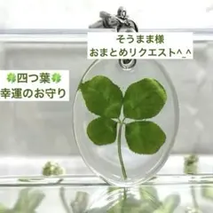 そうまま様 リクエスト 2点 まとめ商品