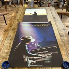 平井大ポスター、パネル2点