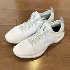 バスケットボールシューズ GLIDE NOVA FF3 29.5㎝　匿名配送