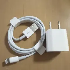 純正LightningケーブルとUSB充電器セット