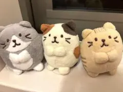 HAPiNS Fuku Fuku Nyanko猫のぬいぐるみ3点セット