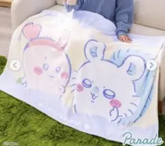 【モモンガ×古本屋】ちいかわ 超BIGマイヤーブランケット　未開封