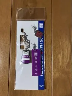新品】青山学院大学2025箱根駅伝HAKONE EKIDEN キーホルダー - メルカリ