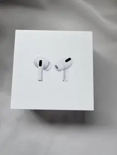 AirPods Pro 第1世代 正常動作 ノイキャン良好 Apple純正