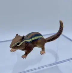 チョコQ 日本の動物 第10弾 チョウセンシマリス【海洋堂】ブック有のサムネイル