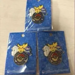 ポケセン 札幌 限定 ロゴ ピンズ バッチ バッジ ポケットモンスター 4