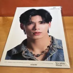 Sparkle Annex vol.08