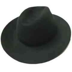 ⭐︎再値下げ中　BEAUTY&YOUTH ハット 黒　毛(ラビット)