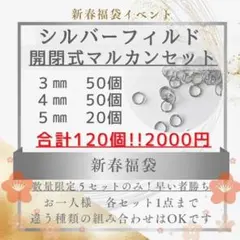 きらりん様 リクエスト 2点 まとめ商品