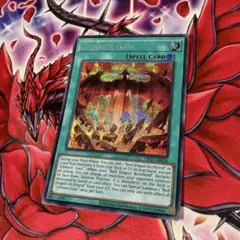 遊戯王 泰亜版 クリムゾン・ヘルガイア シークレットレア - メルカリ